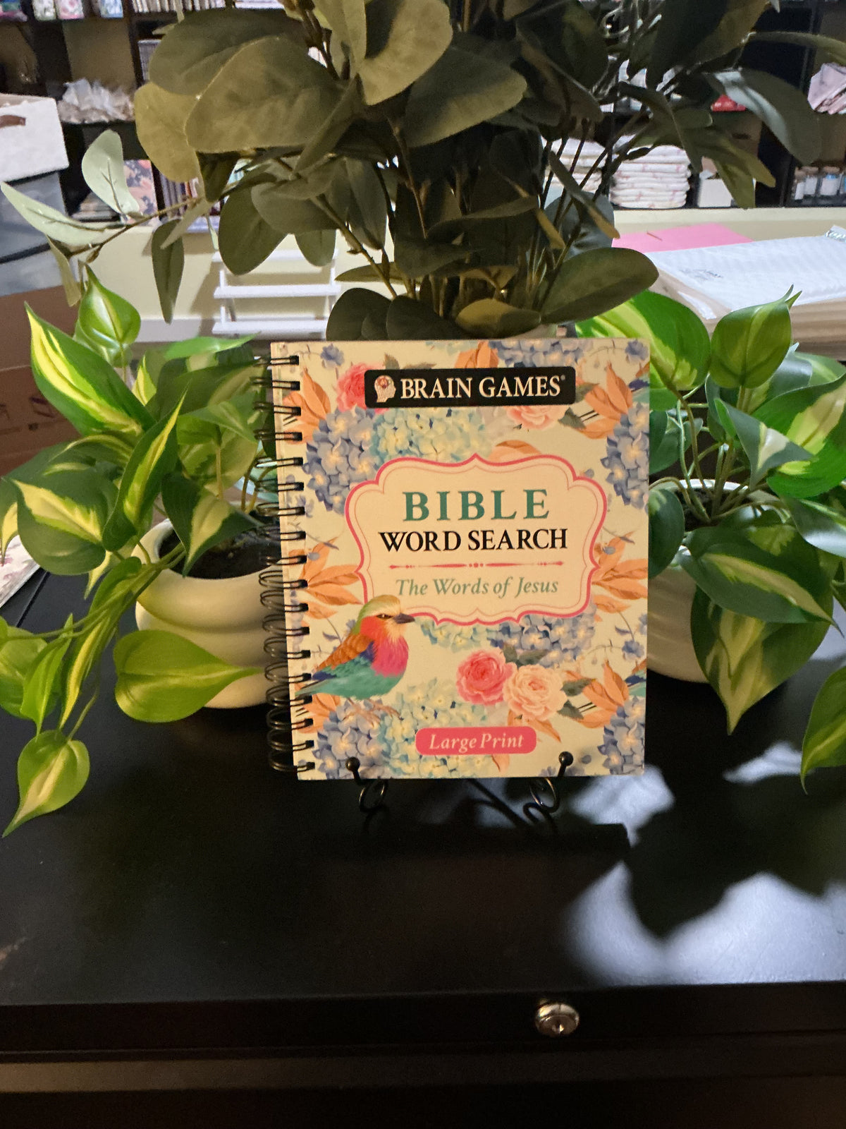 Blue Floral Large Print Bible Word Search Book