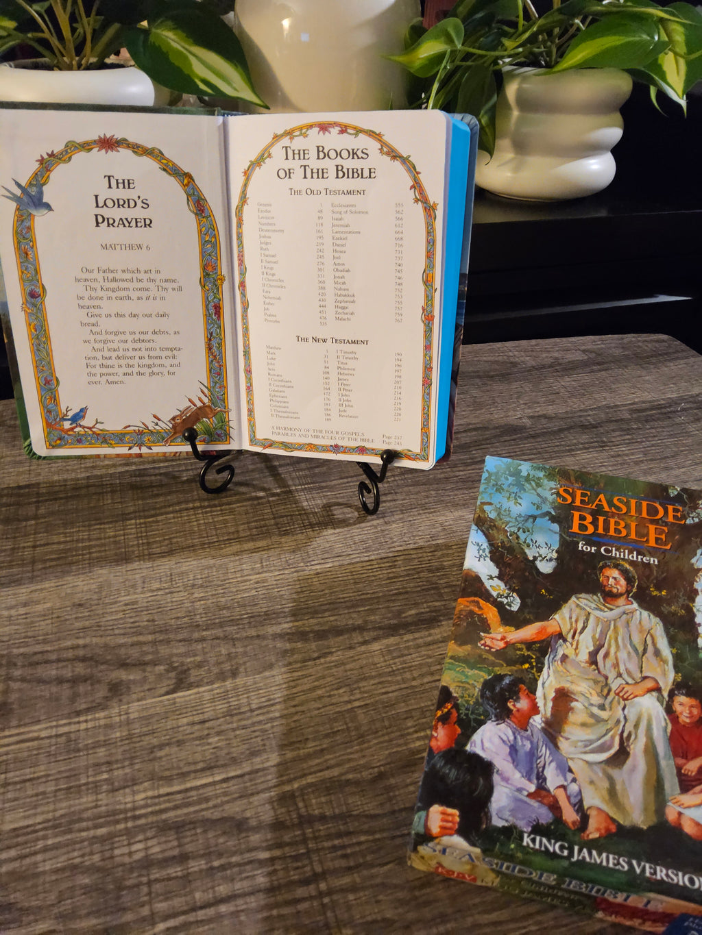 KJV Classic Children’s Bible – Seaside Edition with Full-Color Illustrations (Hardcover)