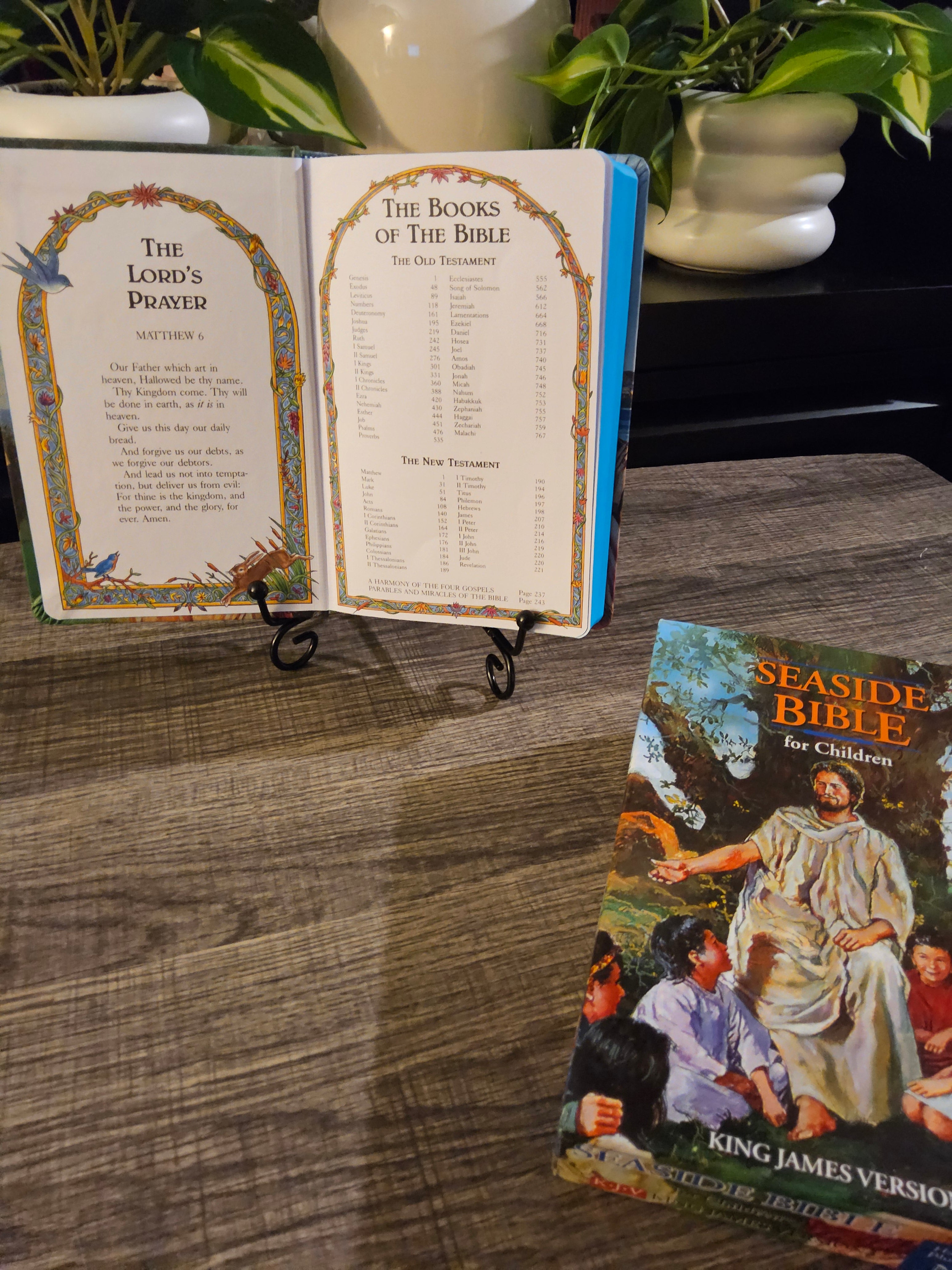 KJV Classic Children’s Bible – Seaside Edition with Full-Color Illustrations (Hardcover)