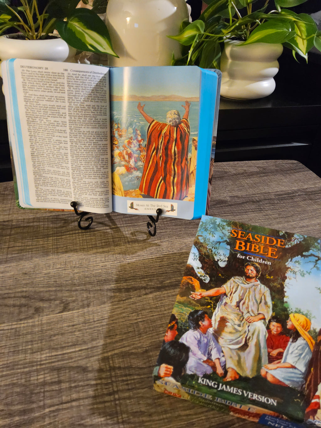 KJV Classic Children’s Bible – Seaside Edition with Full-Color Illustrations (Hardcover)