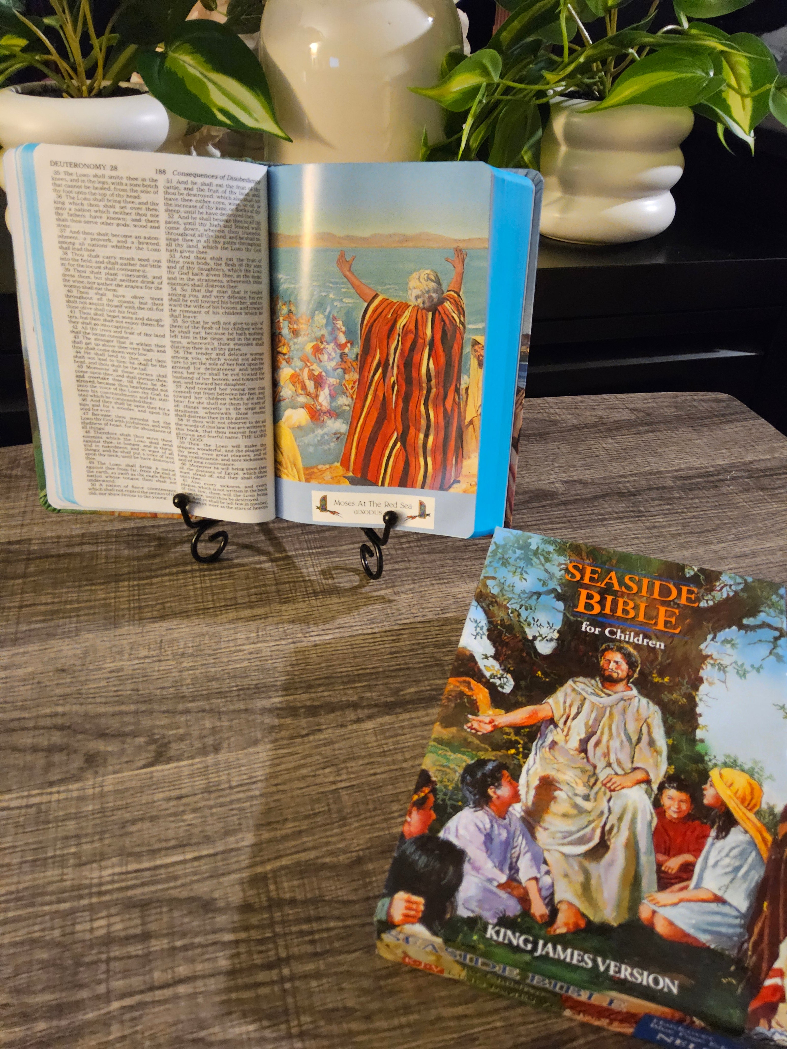 KJV Classic Children’s Bible – Seaside Edition with Full-Color Illustrations (Hardcover)