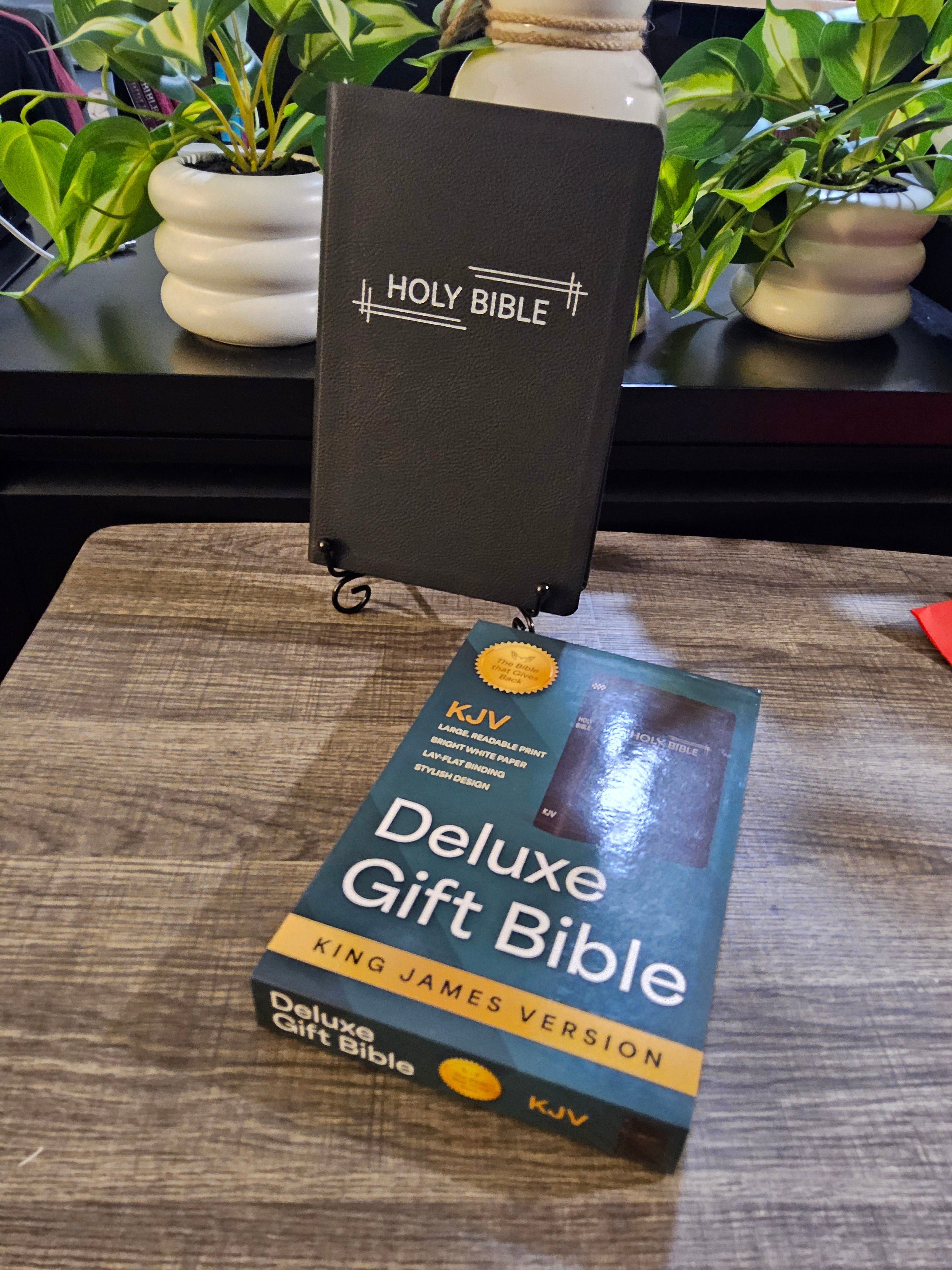 KJV Holy Bible – Deluxe Gift Bible in Black with Silver Frame