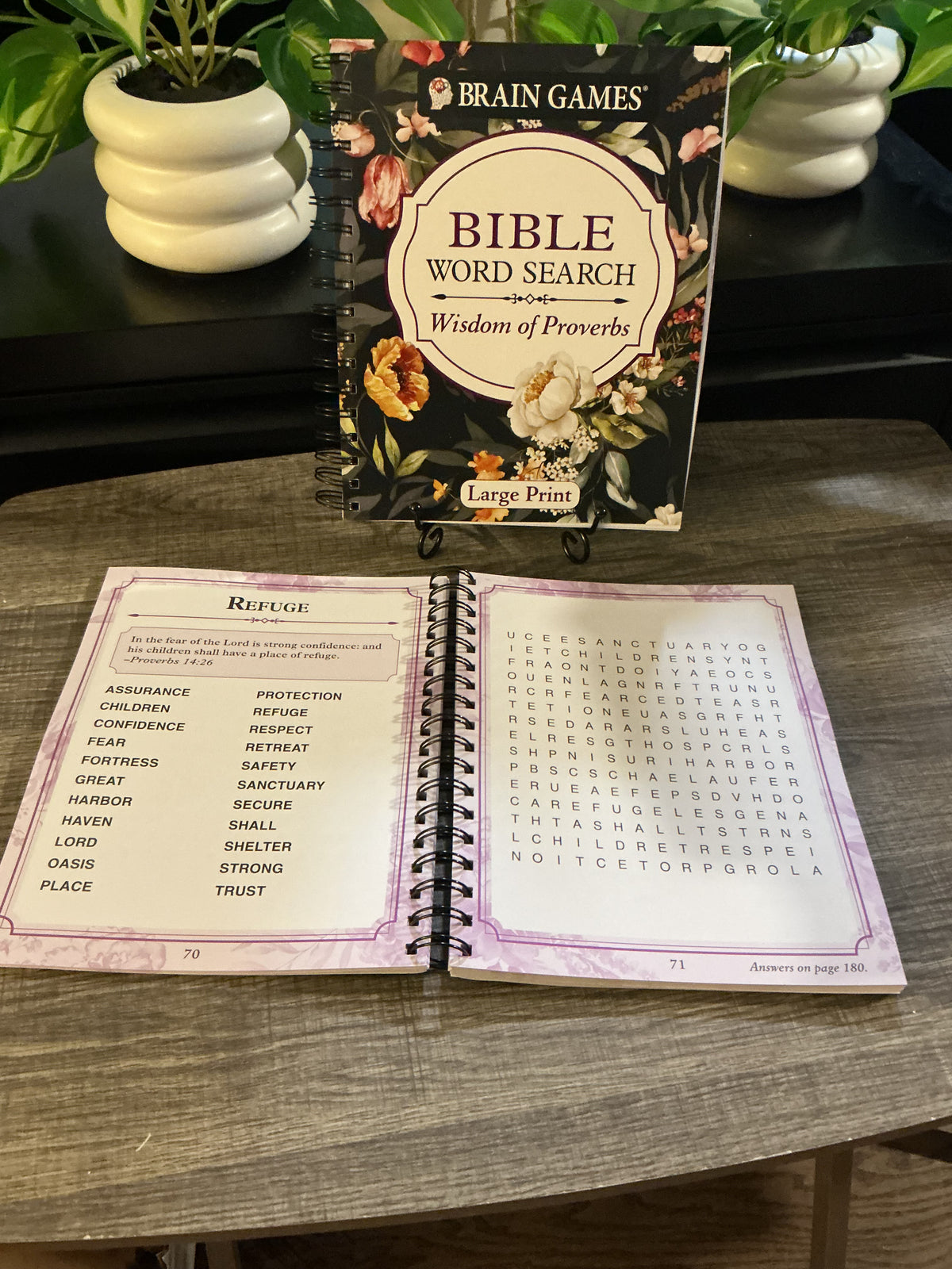 Bible Word Search – Wisdom of Proverbs Large Print Puzzle Book